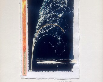 Original Cyanotype Print, with Stitching: No Plan or Arrangement 2025