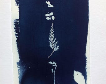 Original Cyanotype Print, with Stitching: Oddments 2025