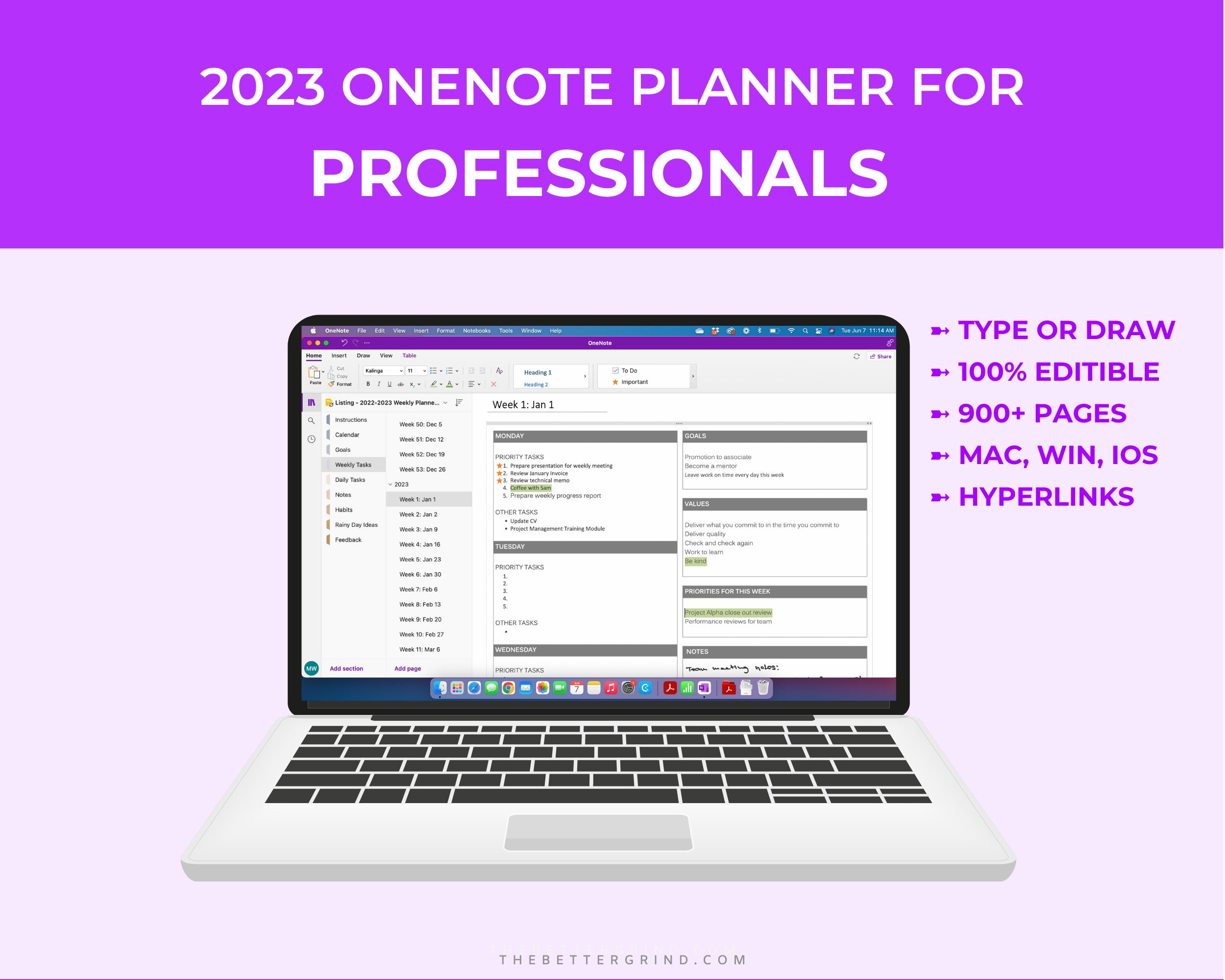 Onenote Planner for Professionals 2023 Onenote Digital - Etsy