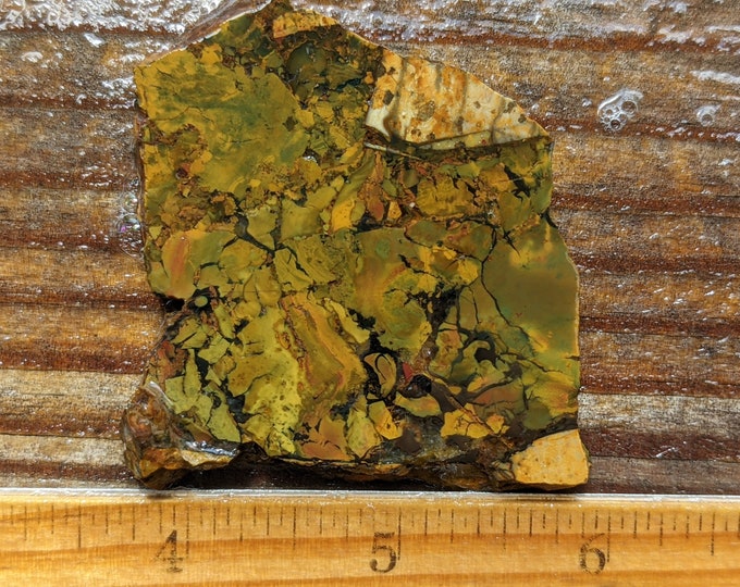 Whiskey Creek Brecciated Jasper Etsy