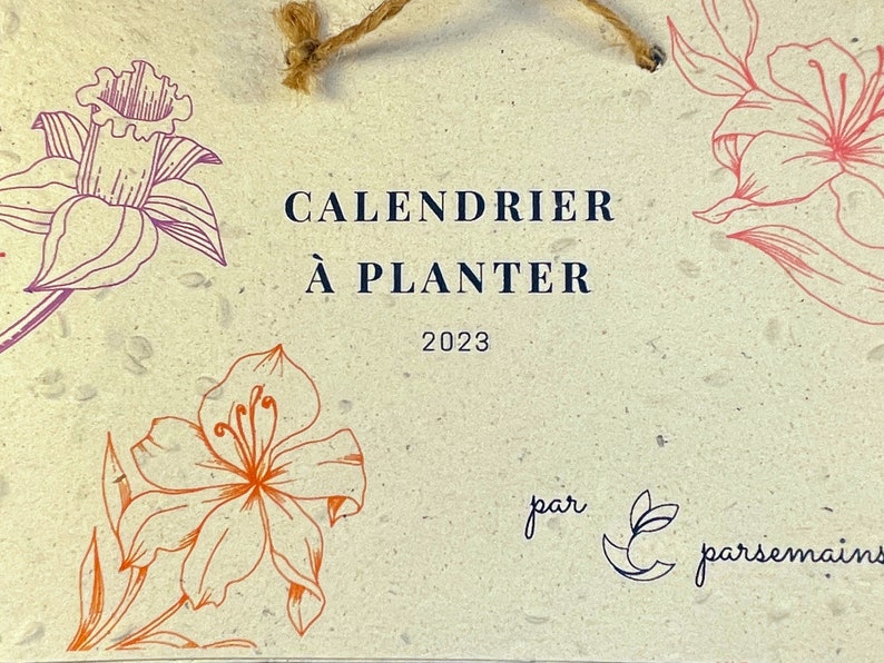 Calendrier à Planter 2024 calendrier Ensemencé 2024 Etsy