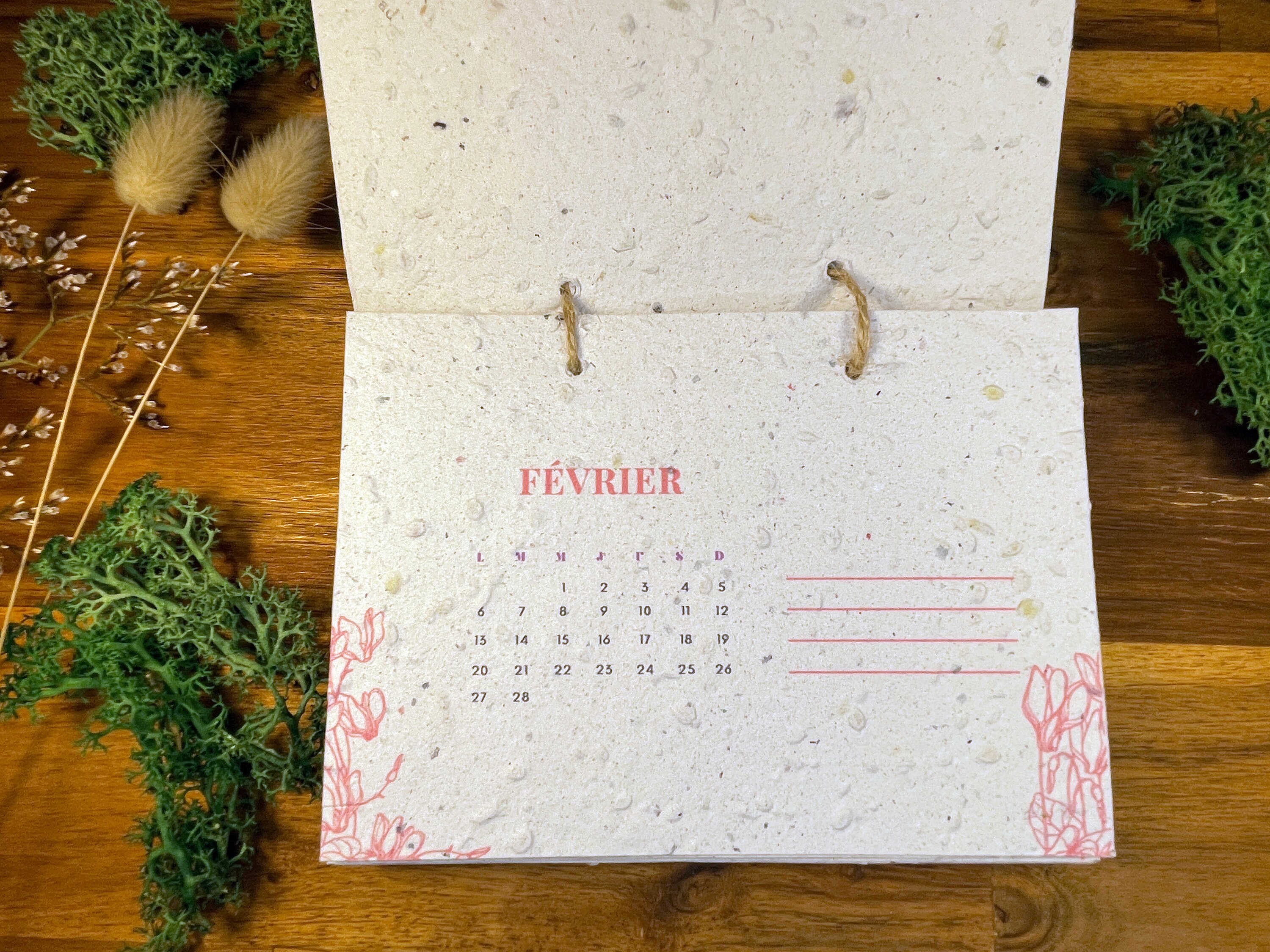 Calendrier à Planter 2024 calendrier Ensemencé 2024 Etsy