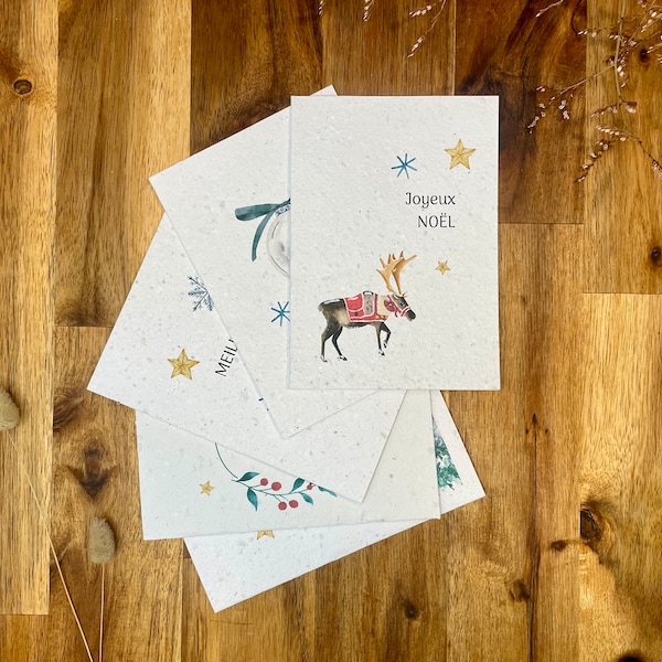 Ensemble de 5 Cartes de Vœux en Papier Ensemencé. Cartes de vœux. Cartes Noël. Cadeau éco-responsable. Cadeau écologique. - Éclosion de Vœux