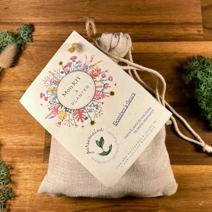Kit da fioriera Fleurs sauvages. Bombe di grano. Cadeau eco-responsabile. Cadeau Noël. Cadeau pour la maison. Cadeau minimalista.