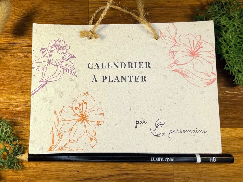 Calendrier à Planter 2024 calendrier Ensemencé 2024 Etsy
