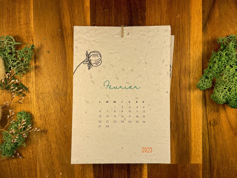 Calendrier à Planter 2024 Calendrier Ensemencé 2024 Etsy New Zealand