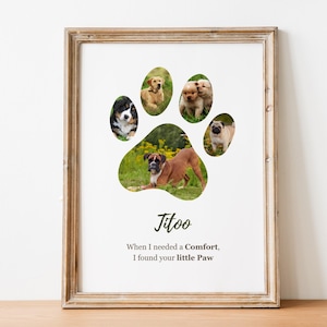 May include: A framed print featuring a paw-shaped design with images of different dog breeds. The print includes a golden retriever, Bernese Mountain Dog, two puppies, a pug, and a boxer. Text at the bottom reads "Jitoo" and "When I needed a Comfort, I found your little Paw."
