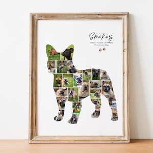 May include: A framed print featuring a French Bulldog silhouette filled with various photos of the dog. The print includes the name "Smokey" and the phrase "When I needed a Comfort, I found your Paws" with paw prints.