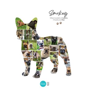 May include: A white background features a dog-shaped collage filled with photos of French Bulldogs. The word "Smokey" is written in cursive, with the text "When I needed a Comfort, I found your Paw" below it. A paw print graphic is also included.