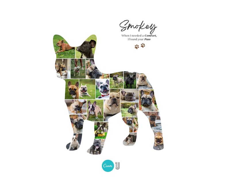 May include: A white background features a dog-shaped collage filled with photos of French Bulldogs. The word "Smokey" is written in cursive, with the text "When I needed a Comfort, I found your Paw" below it. A paw print graphic is also included.