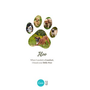 May include: A white background with a paw-shaped design containing images of various dog breeds. The word "Jitoo" is written in cursive, with the text "When I needed a Comfort, I found your little Paw" below it.