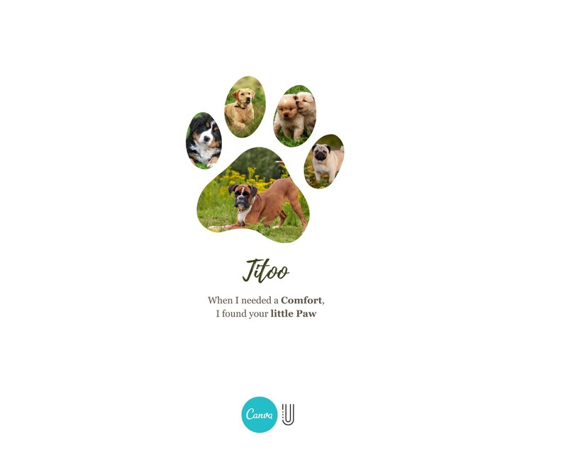 May include: A white background with a paw-shaped design containing images of various dog breeds. The word "Jitoo" is written in cursive, with the text "When I needed a Comfort, I found your little Paw" below it.