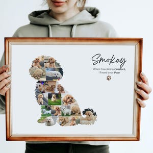 Custom Maltipoo Dog Photo Collage | Pet Memory Wall Art | Gift for Dog Lovers