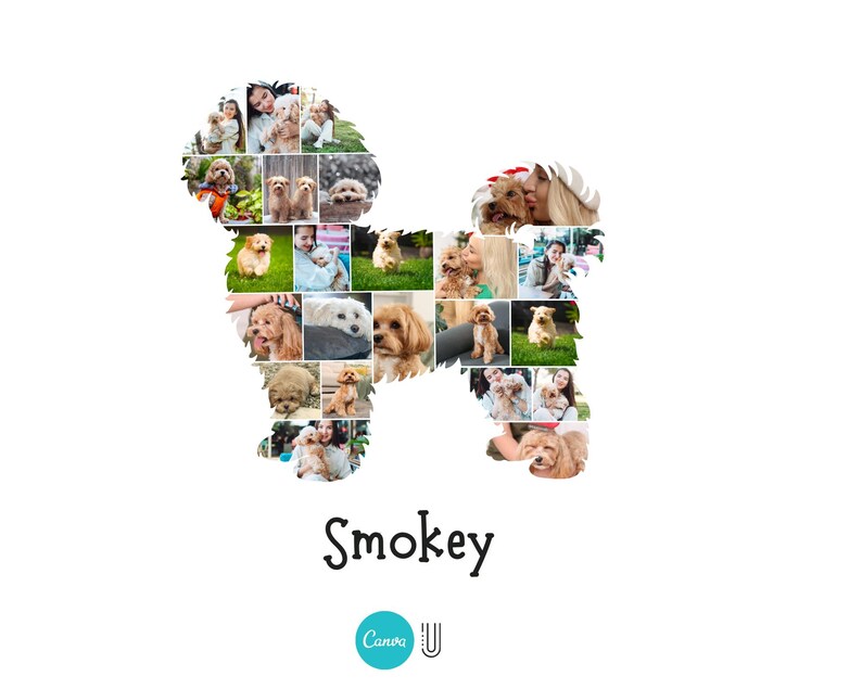 Pu&ograve; includere: Uno sfondo bianco presenta un collage a forma di cane pieno di foto di cani e persone. La parola "Smokey" &egrave; scritta in corsivo nero sotto la forma del cane. Un logo Canva turchese si trova nell'angolo in basso.