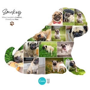 May include: A collage of photos of pugs in various poses, arranged in the shape of a pug. The text "Smokey" is at the top of the image, and the text "When I needed a comfort, I found your paw" is below it. A paw print is below the text.