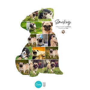 Custom Pug Photo Collage Gift: Dog Memorial (Canva Template)