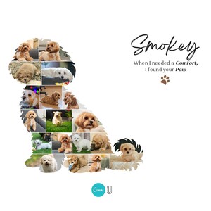 Custom Maltipoo Dog Photo Collage | Pet Memory Wall Art | Gift for Dog Lovers