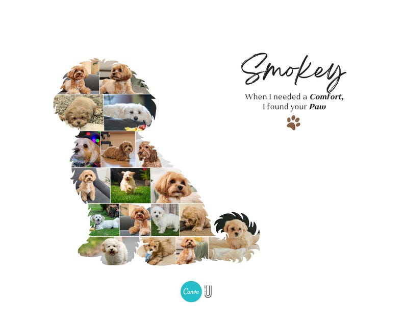 Custom Maltipoo Dog Photo Collage | Pet Memory Wall Art | Gift for Dog Lovers