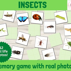 Insekten Memory-Spiel druckbar, Real Life Natur Foto Matching Puzzle, Montessori Bug Aktivität für Kinder, Frühlern-Ressource für Lernkarten