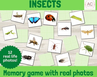 Juego de memoria de insectos imprimible, rompecabezas de emparejamiento de fotos de la naturaleza (descarga digital)