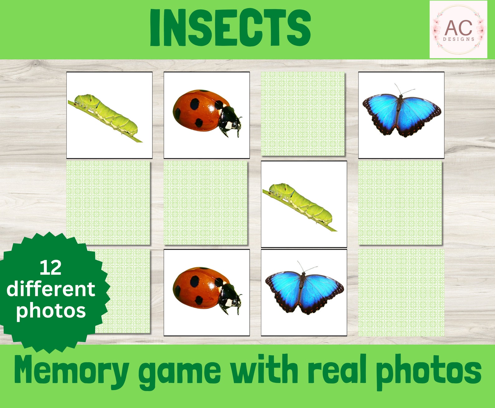 Insects Memory Game Printable, Real Life Nature Photo Matching Puzzle ...