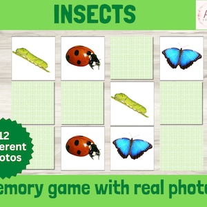Insekten Memory-Spiel druckbar, Real Life Natur Foto Matching Puzzle, Montessori Bug Aktivität für Kinder, Frühlern-Ressource für Lernkarten