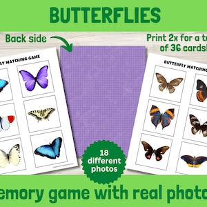 Jeu de mémoire papillon à imprimer, casse-tête d'associations avec des photos de la nature réelle, activité Montessori pour les enfants, ressources de cartes d'apprentissage pour la petite enfance