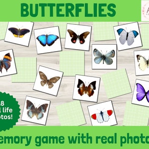 Butterfly Memory Game afdrukbaar, Real Life Nature Photo Matching Puzzle, Montessori-activiteit voor kinderen, Early Learning Flashcards Resource