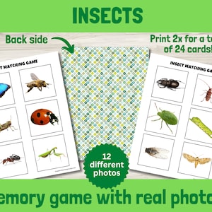 Insekten Memory-Spiel druckbar, Real Life Natur Foto Matching Puzzle, Montessori Bug Aktivität für Kinder, Frühlern-Ressource für Lernkarten