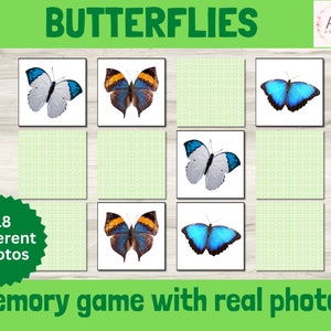 Butterfly Memory Game afdrukbaar, Real Life Nature Photo Matching Puzzle, Montessori-activiteit voor kinderen, Early Learning Flashcards Resource
