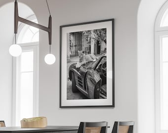 Cheetah Cub on Car Print, Old Money Aesthetic Wall Art, Black and White, Luxury Lifestyle Photography, Hypebeast Decor, Digital Download