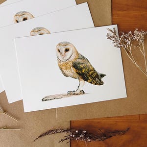 Set di biglietti con gufo di palude, cartolina con animali selvatici, cartolina con uccelli, disegni di animali del bosco, opere d'arte sulla natura, biglietto d'auguri vuoto, cancelleria con animali