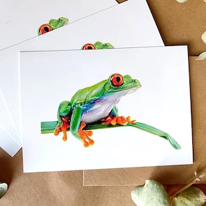 Set de tarjetas con dibujo de rana, Pack de postales ilustradas con animales, Tarjetas de felicitación, Regalo para amante de animales