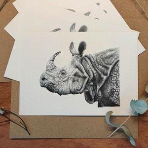 Set de tarjetas con dibujo de rinoceronte, Pack de postales ilustradas con animales, Tarjeta de felicitación, Regalo para amante de animales
