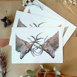 Set de tarjetas con dibujo de ciervos, Postales con animales, Papelería sobre naturaleza, Regalo para amante de caza, Ilustración de ciervos