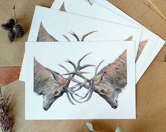 Set de tarjetas con dibujo de ciervos, Postales con animales, Papelería sobre naturaleza, Regalo para amante de caza, Ilustración de ciervos
