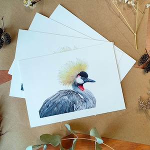 Exotische vogel Notitiekaartenset, Afrikaanse kraan ansichtkaartpakket, dierentekening, natuurkunstwerk, briefpapier in het wild, handgetekende kunst, kleine kunstafdruk