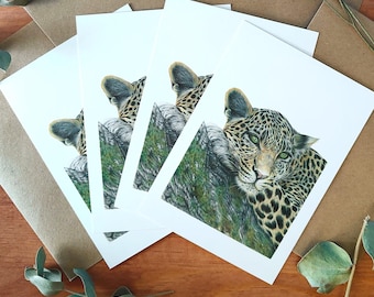 Leopard Drawing Note Card Set: Wildlife Postcards Pack
