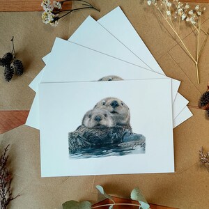 Seeotter Grußkarten-Set, Wildtier Kunst Postkarte, Realistische Otter Illustration, Süßes Tier Zeichnung, Natur Briefpapier, Leere Grußkarte