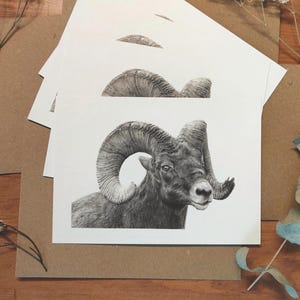Set di biglietti d'auguri con pecore bighorn, confezione di cartoline con animali selvatici, disegni ispirati alla natura, articoli di cancelleria con animali, regalo per amanti degli animali, biglietto d'auguri