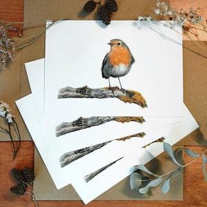 Set de tarjetas con dibujo de petirrojo, Postales ilustradas con aves, Papelería de animales, Dibujo de animal del bosque, Arte y naturaleza