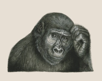 Gorilla drawing, Wildlife Art, Pencil Drawing, Graphite Drawing, Fine Art Print, Animal Art, A4 print, Animal Illustration, Gorilla art