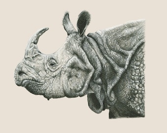 Rhinoceros drawing, Rhinoceros original drawing, Wildlife Art, Pencil Drawing, Graphite Drawing, Animal Art, Animal Illustration, Realistic