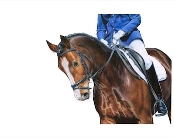 Horse drawing, Equestrian drawing, Realistic horse drawing, Fine art print, Horse illustration, Colored pencil drawing, Equestrian, Horse