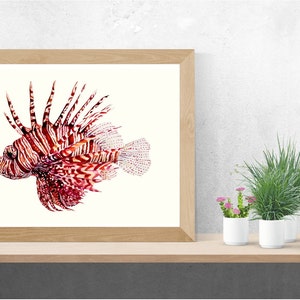 Lionfish drawing, Lionfish painting, Wildlife Art, Watercolor painiting, Fine Art Print, Animal Art, A5 print, Animal Illustration, Fish art image 5