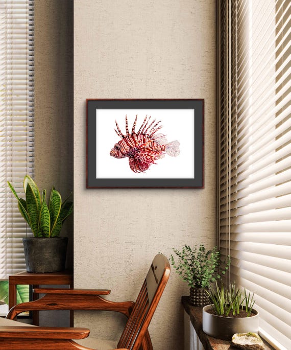 ミノカサゴの水彩画アートプリント：海の魚のイラストの壁飾り - Etsy 日本