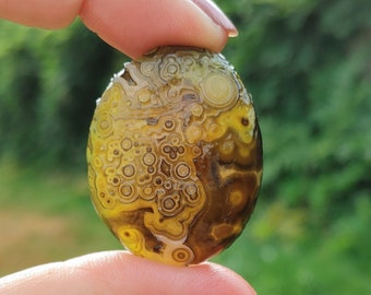 Extra Special Exceptionally High Quality and Incredibly Rare Natural Eye Agate from Mongolia Gobi Desert. Snobby Fish.