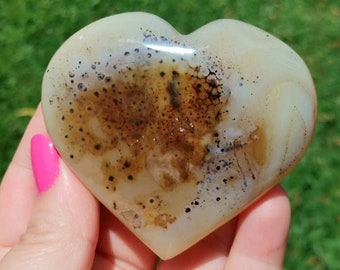 Beautiful Aquatic Plant Saplings Agate Heart