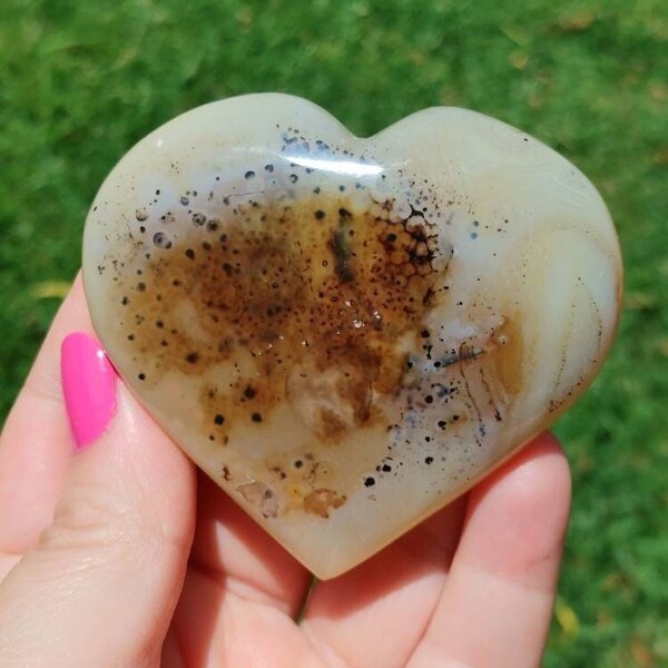 Beautiful Aquatic Plant Saplings Agate Heart