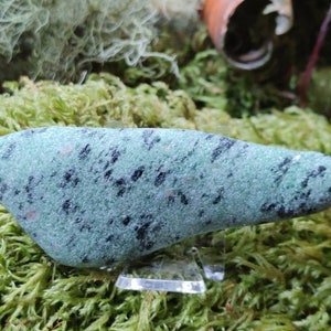 May include: A teal-coloured, elongated stone with black speckles. The stone is displayed on a clear acrylic stand, set against a backdrop of green moss and foliage. The stone's shape is reminiscent of a teardrop.